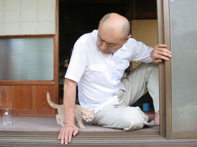 連続テレビドラマ ねこばん || ファミリー劇場