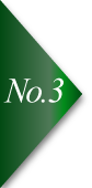 no3