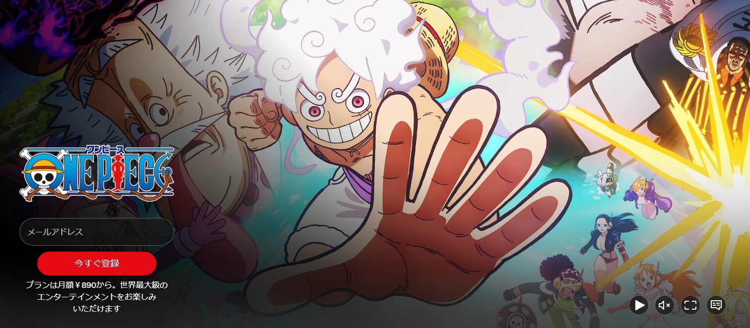 ワンピースシリーズ