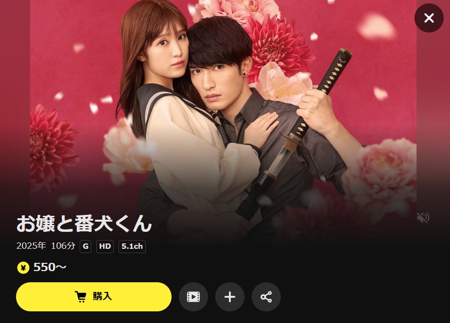 DMM TVのお嬢と番犬くん（実写）配信画像