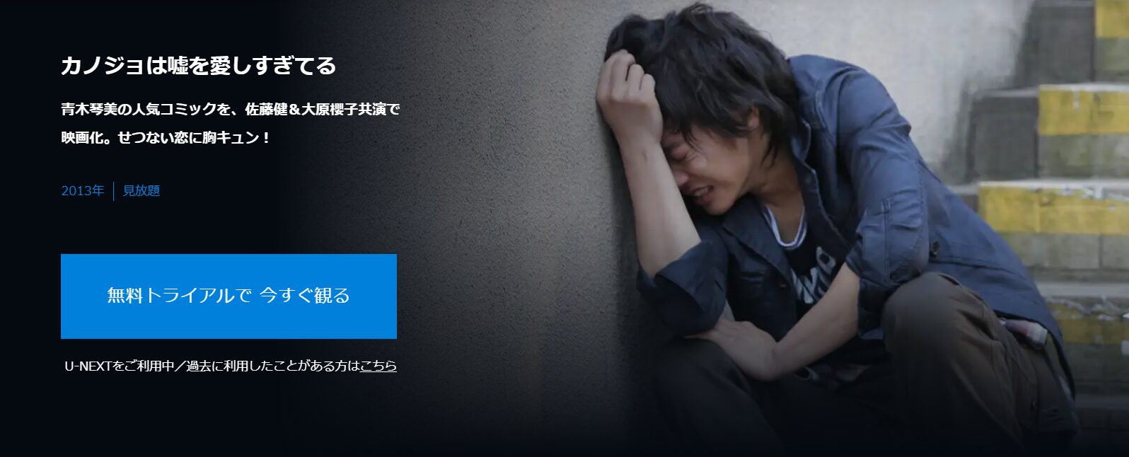 カノジョは嘘を愛しすぎてる