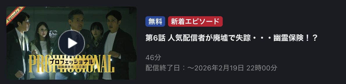 プロフェッショナル 保険調査員・天音蓮 見逃し配信 FOD