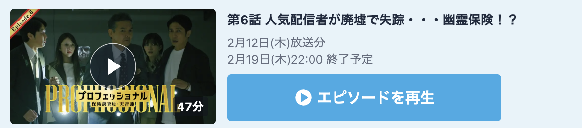 プロフェッショナル 保険調査員・天音蓮 見逃し配信
