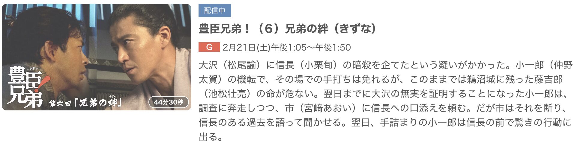 豊臣兄弟！ 見逃し配信