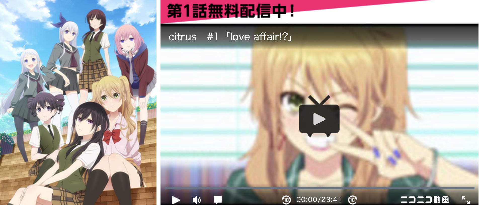 citrus(シトラス)