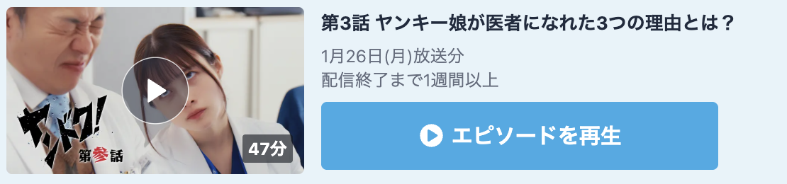 ヤンドク！ 見逃し配信