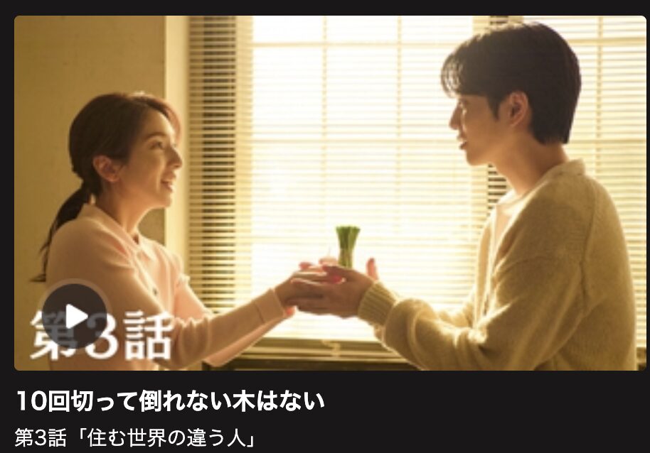 10回切って倒れない木はない 見逃し配信 日テレ無料