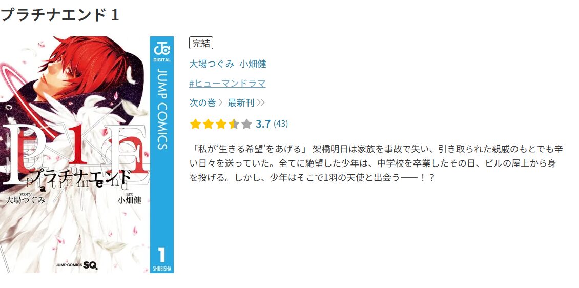 プラチナエンド