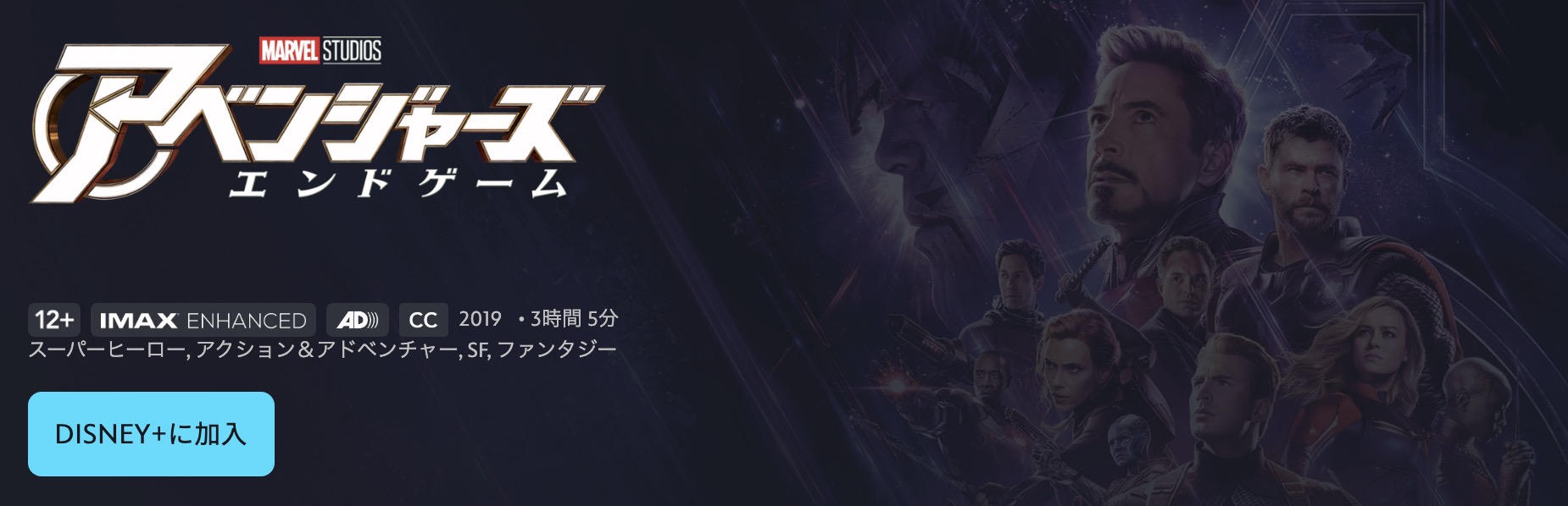 アベンジャーズ エンドゲーム