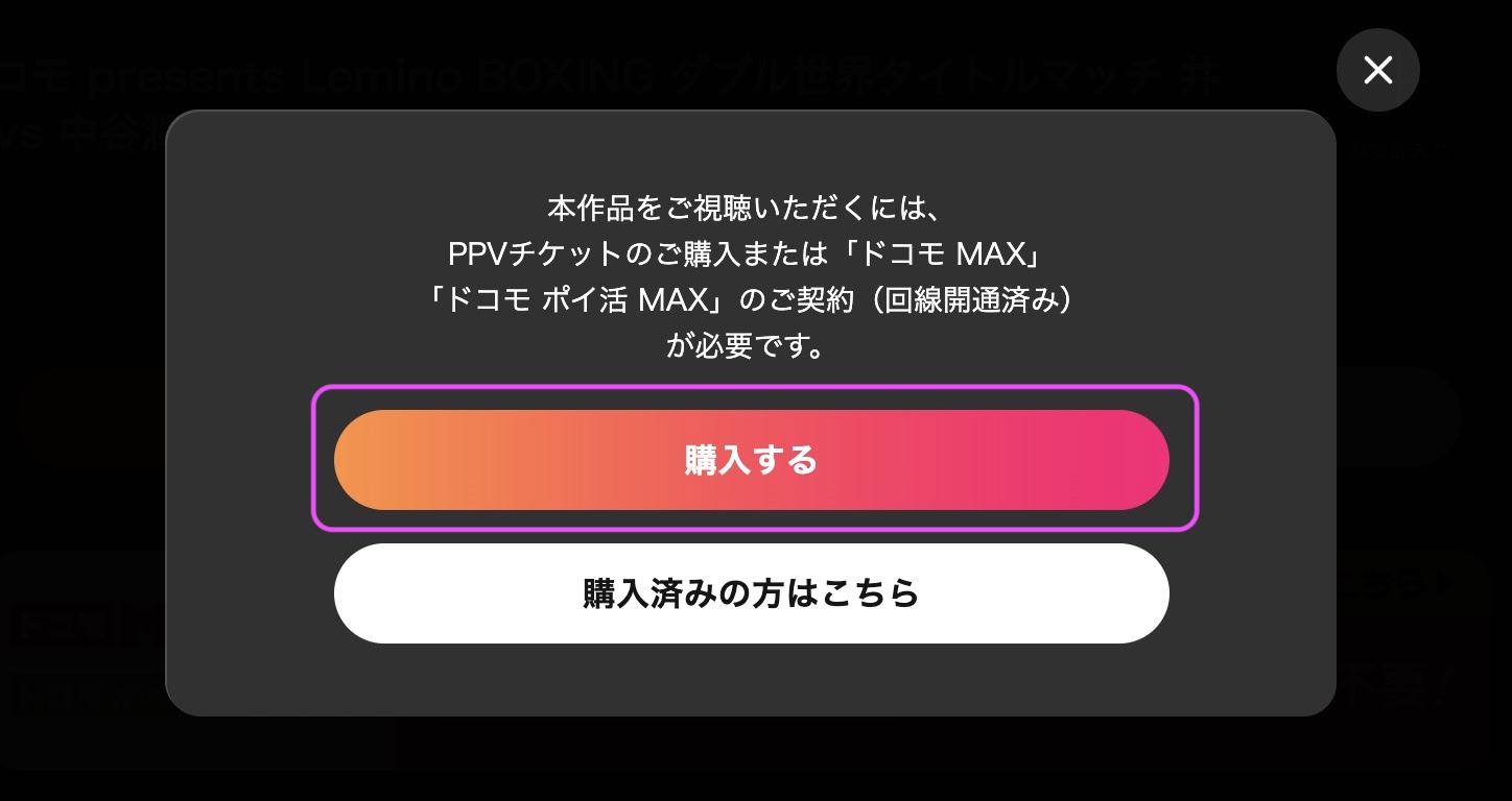 井上尚弥vs中谷潤人　視聴方法