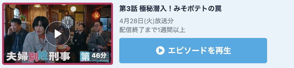 夫婦別姓刑事 見逃し配信