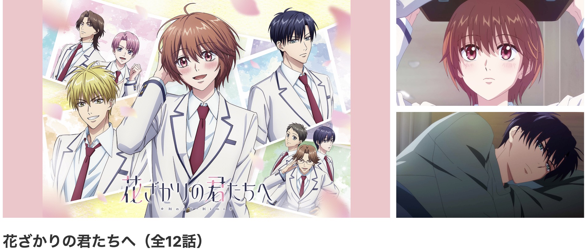 dアニメストアの花ざかりの君たちへ配信画像