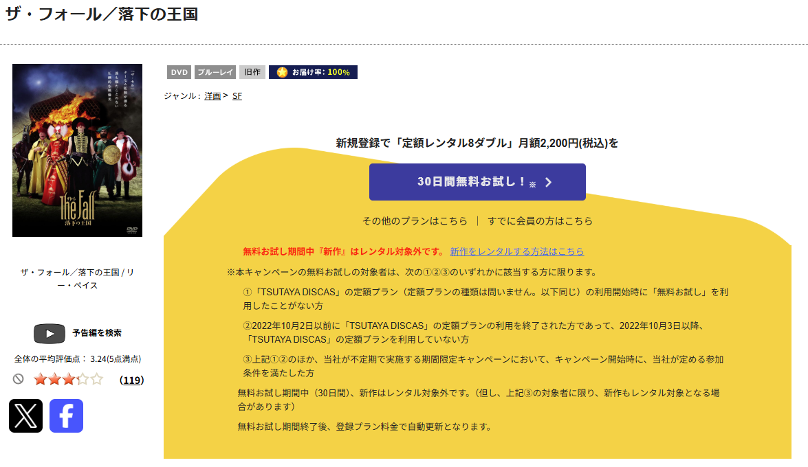 TSUTAYA DISCASの落下の王国
