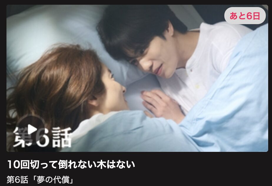10回切って倒れない木はない 見逃し配信 日テレ無料
