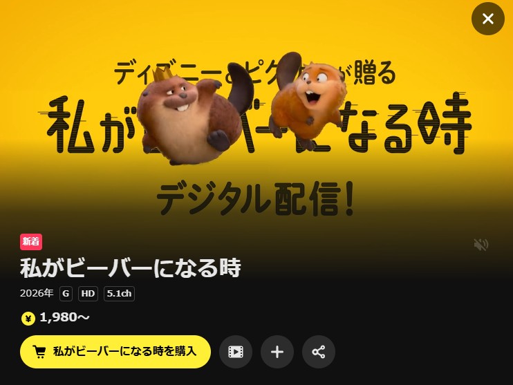 DMM TVの私がビーバーになる時配信画像