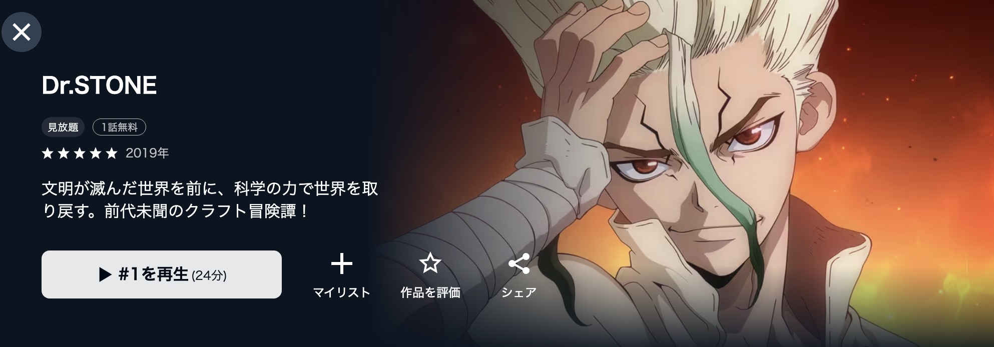U-NEXTのDr.STONE（第1期）配信画像
