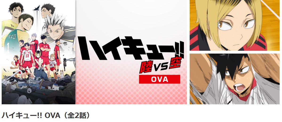 アニメ｜ハイキュー!! 陸vs空（OVA）の動画を無料で見れる配信サイト