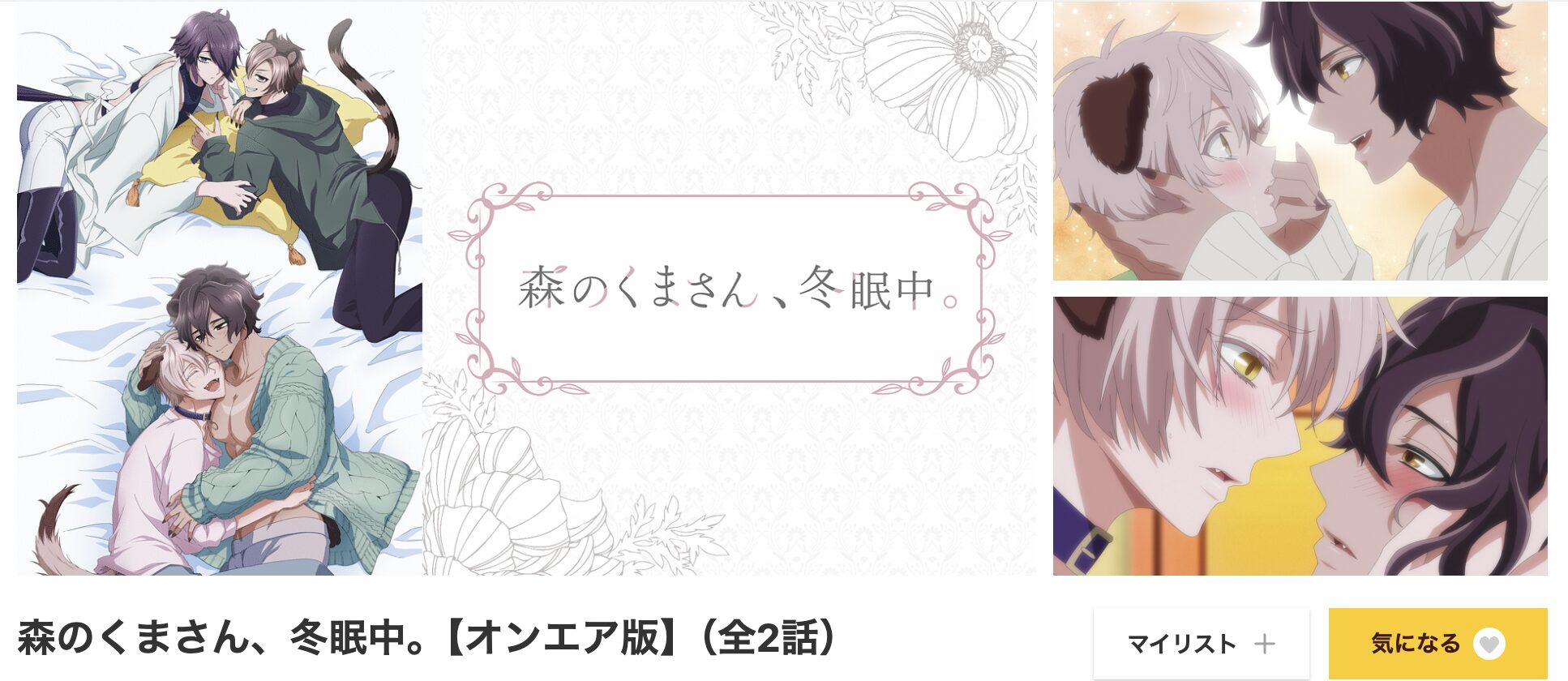 dアニメストアの森のくまさん、冬眠中。配信画像