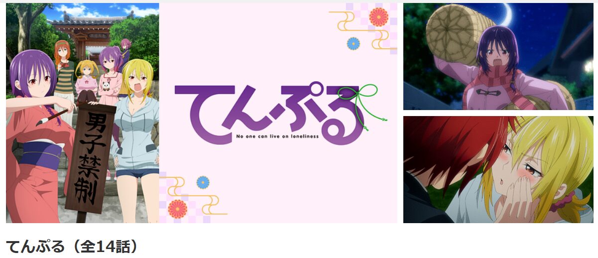 dアニメストアのてんぷる配信画像