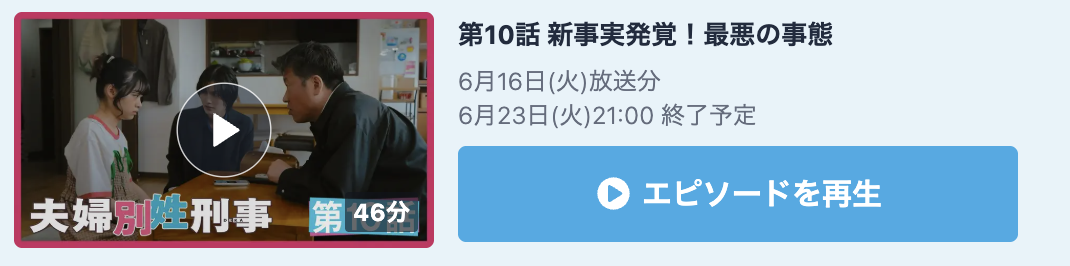 夫婦別姓刑事 見逃し配信