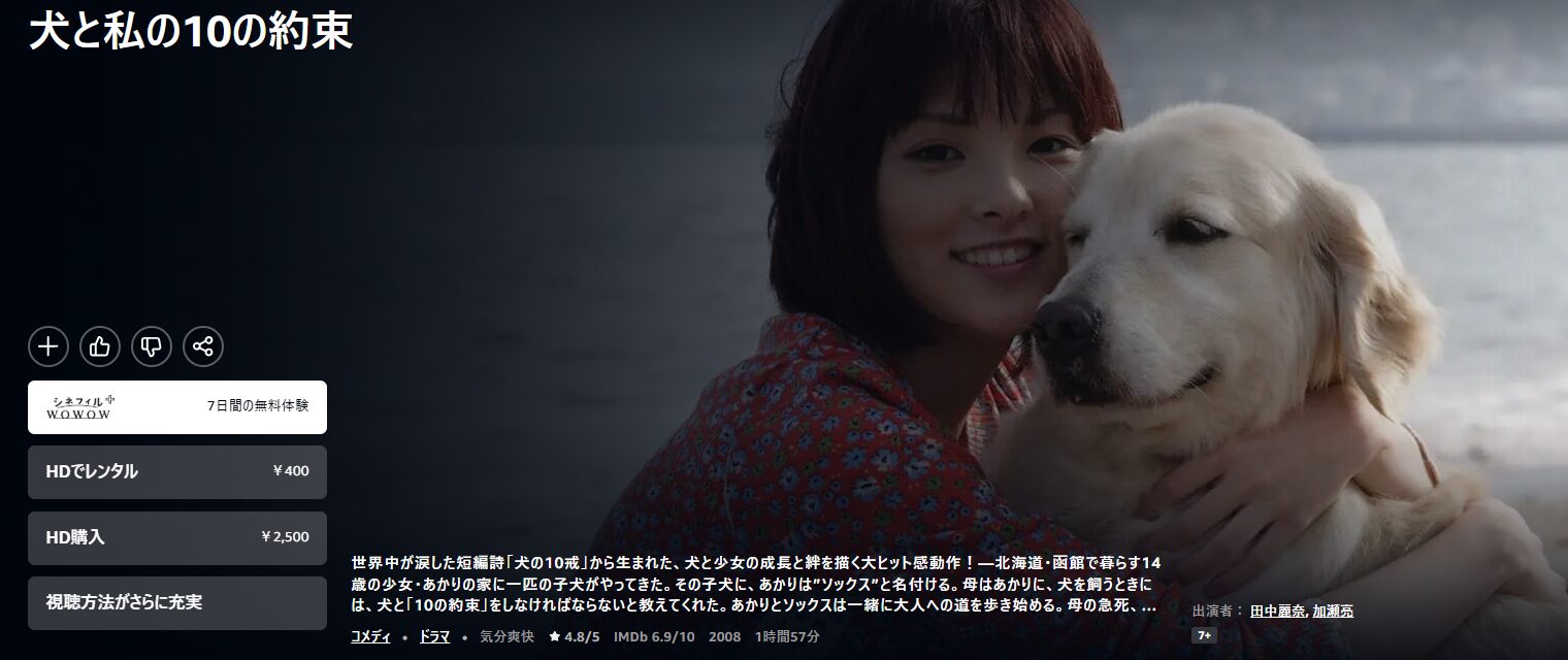 Amazonプライムの犬と私の10の約束配信画像