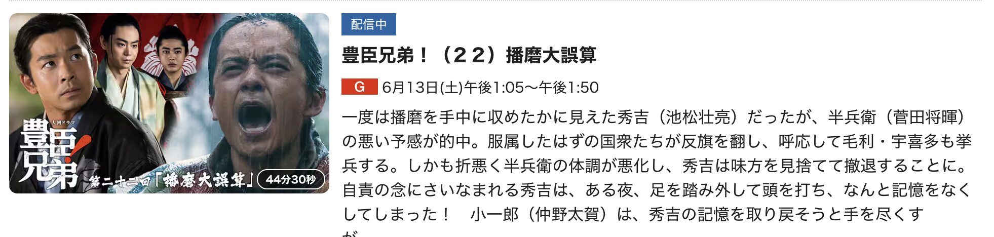 豊臣兄弟！ 見逃し配信