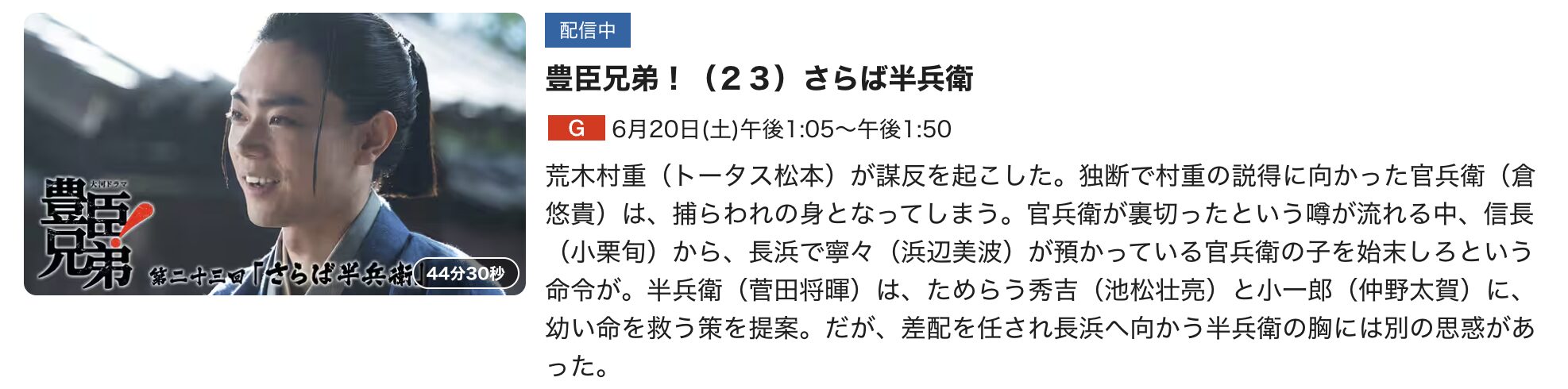 豊臣兄弟! 見逃し配信
