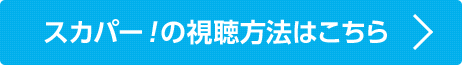 スカパー！の視聴方法はこちら