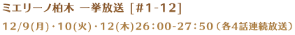 ~G[m ꋓ [1-12] 12/9()E10()E12()26F00-27F50ie4bAj