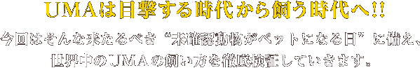 緊急検証！UMAは目撃する時代から飼う時代へ！！