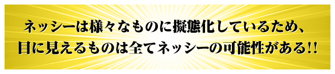 ネッシーは様々なものに擬態化しているため、目に見えるものは全てネッシーの可能性がある!!