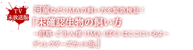 河童などUMAの飼い方を緊急検証！「未確認生物の飼い方～前略・ご主人様　UMA（ぼく）はここにいるよ～ディレクターズカット版」