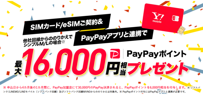 16,000円PayPayポイント