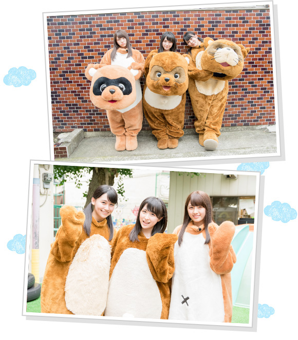 ＡＫＢ４８たぬき合戦